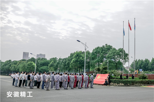 安徽尊龙集团.jpg