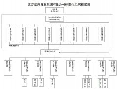 k8凯发国际集团标准化组织框架图